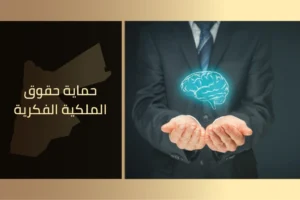 حماية حقوق الملكية الفكرية
